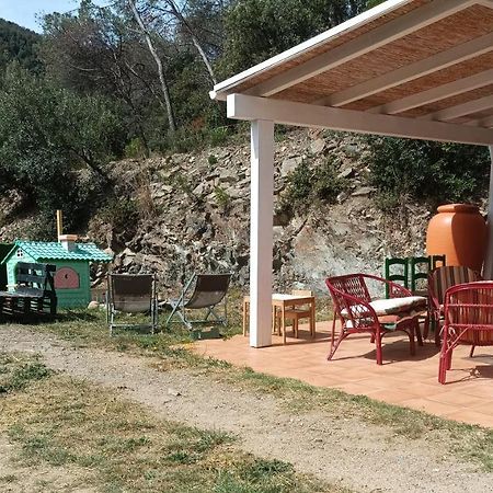 Cottage Eco-Friendly Barcelona Country Side La Garriga Eksteriør billede