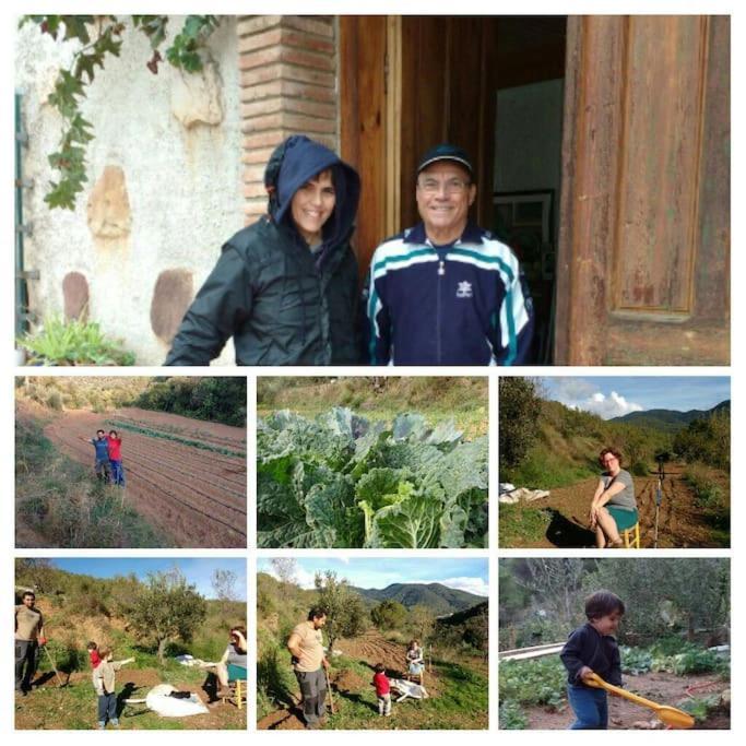 Cottage Eco-Friendly Barcelona Country Side La Garriga Eksteriør billede