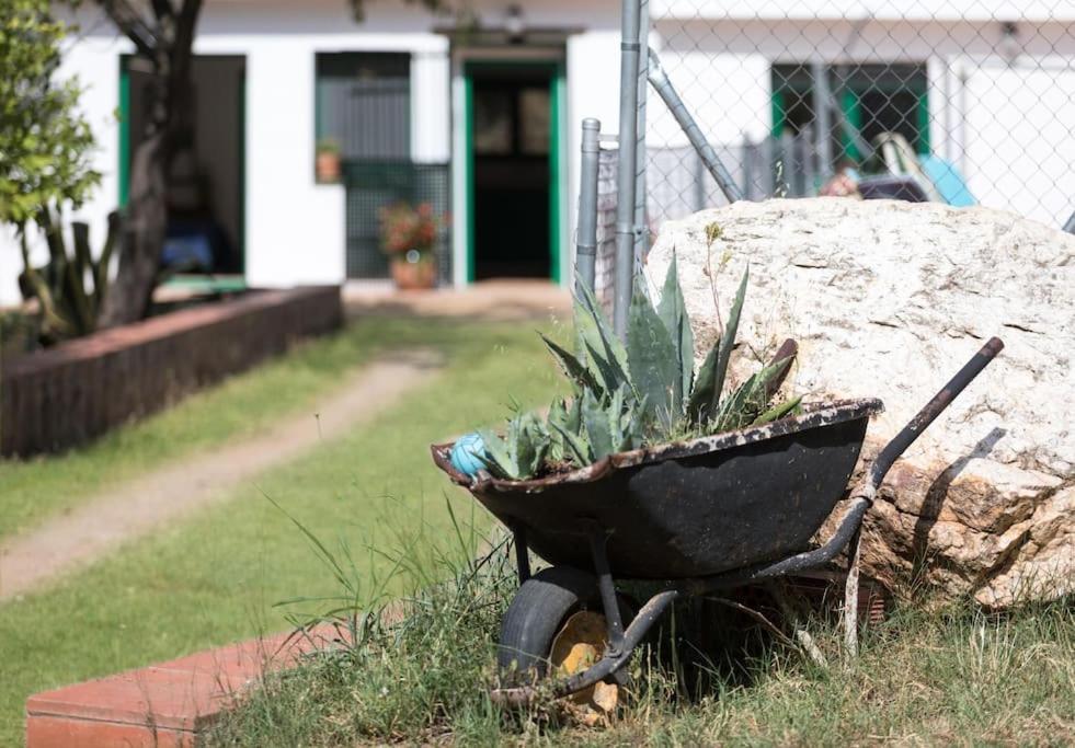 Cottage Eco-Friendly Barcelona Country Side La Garriga Eksteriør billede