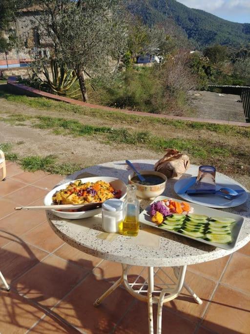 Cottage Eco-Friendly Barcelona Country Side La Garriga Eksteriør billede