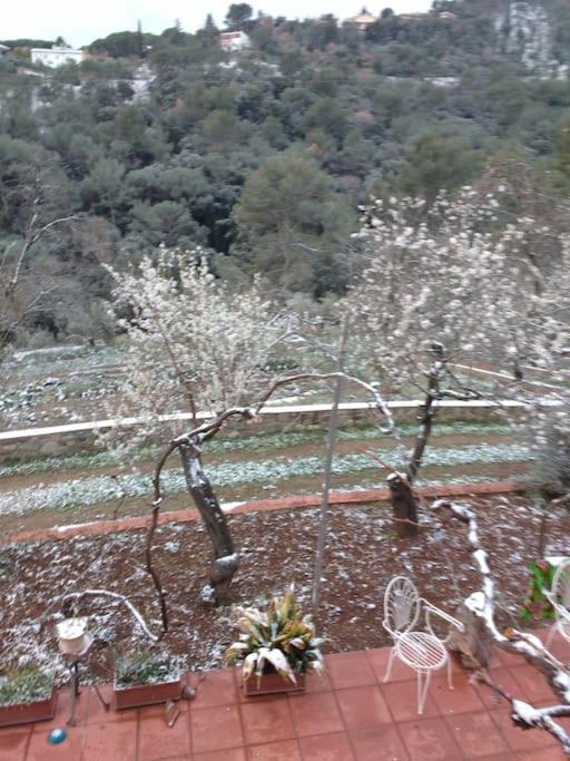 Cottage Eco-Friendly Barcelona Country Side La Garriga Eksteriør billede